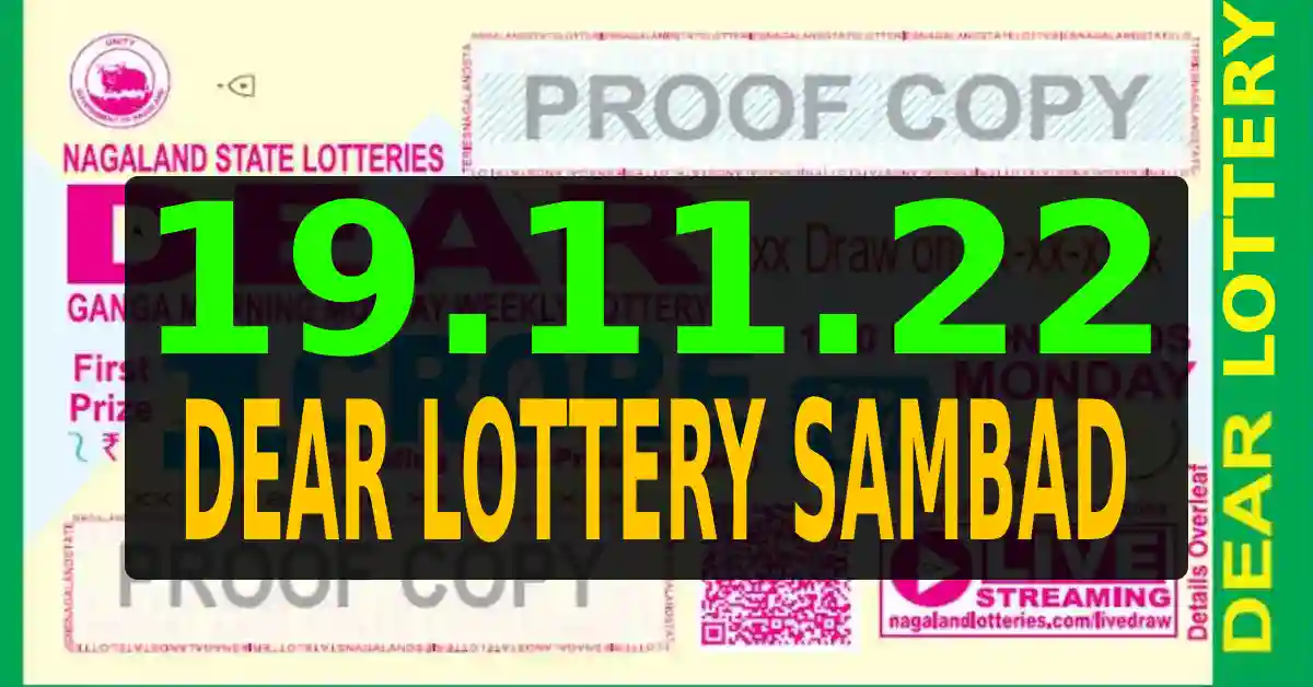 dear lottery result 19.11.22