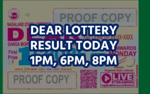 dear lottery result today 1